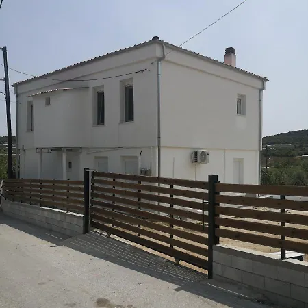 Olive Tree's House *