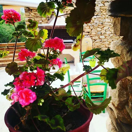 Olive Tree's House Elaiokhorion