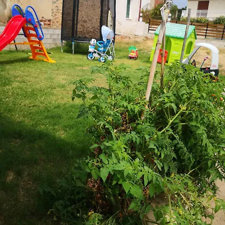 Holiday home Olive Tree's House Elaiokhorion