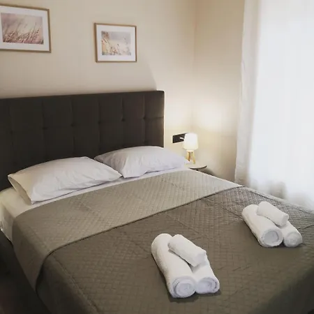 Olive Tree's House *