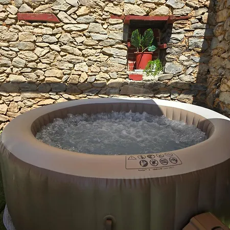 Olive Tree's House Holiday home Elaiokhorion