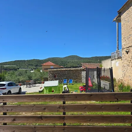 Olive Tree's House *