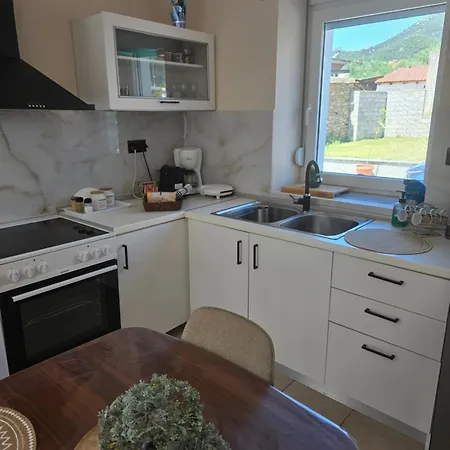 Olive Tree's House *